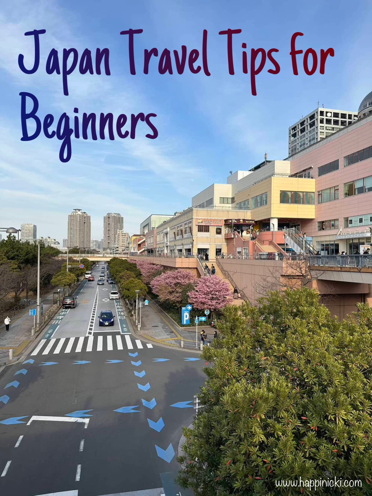 Japan Travel Tips for Beginners: How to Survive Traveling Independently