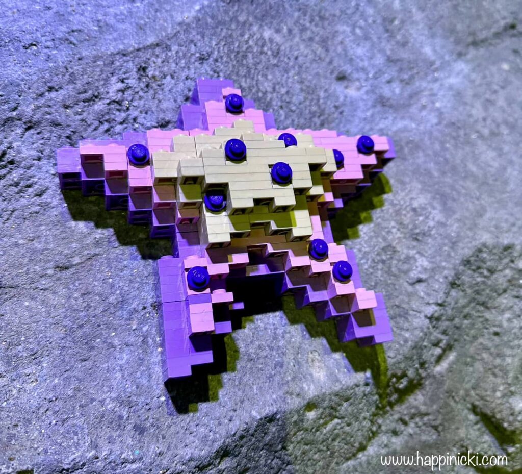 LEGO, LEGO starfish