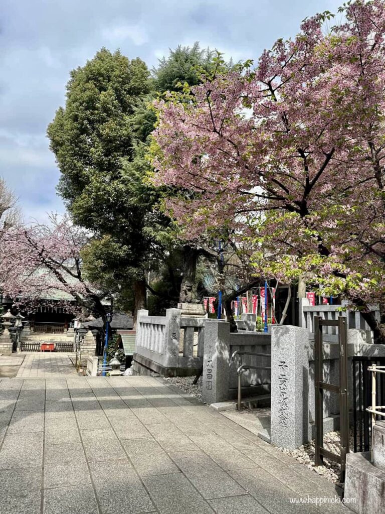 temple, ueno, japanese temple