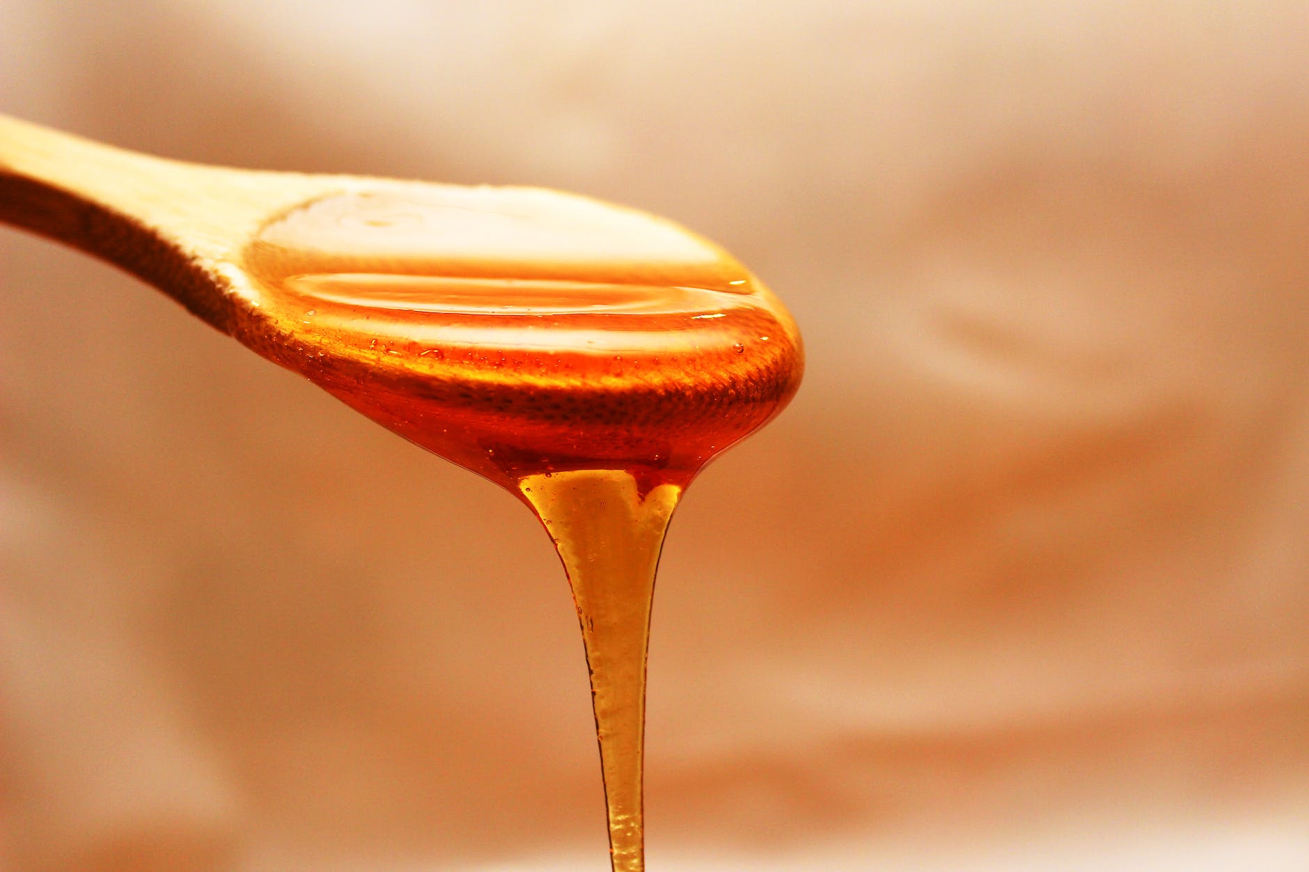 Manuka Honey: Why You Need to Have It Now