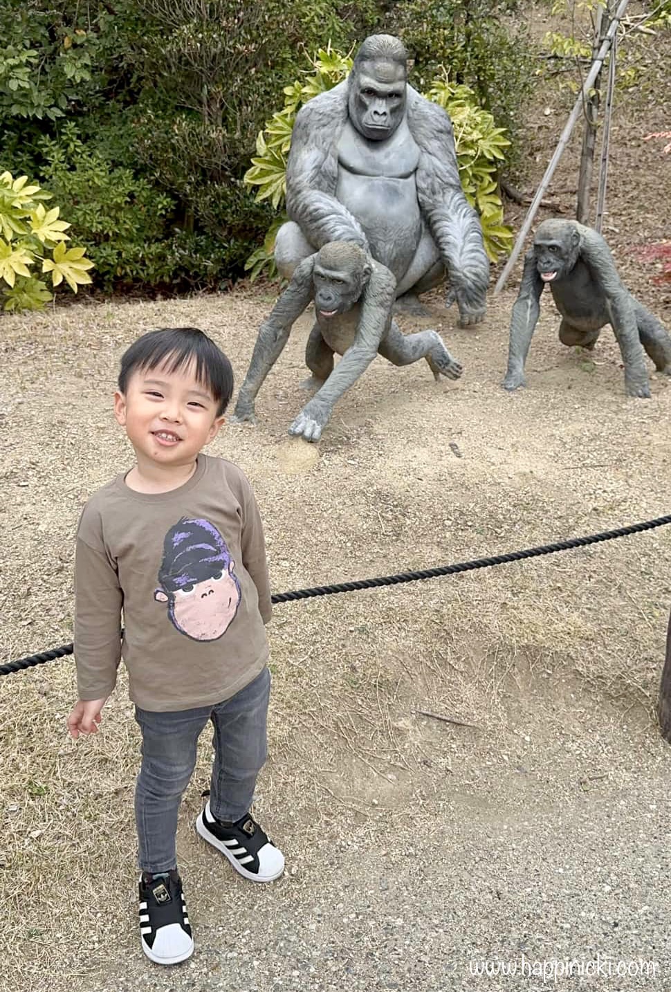 9 Things My Son Learned During His Zoo Visit