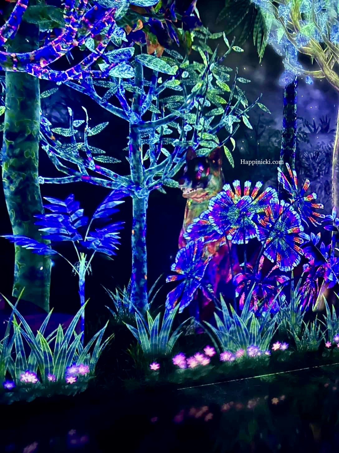 7 Fascinating Experiences We Did in TeamLab Forest Fukuoka