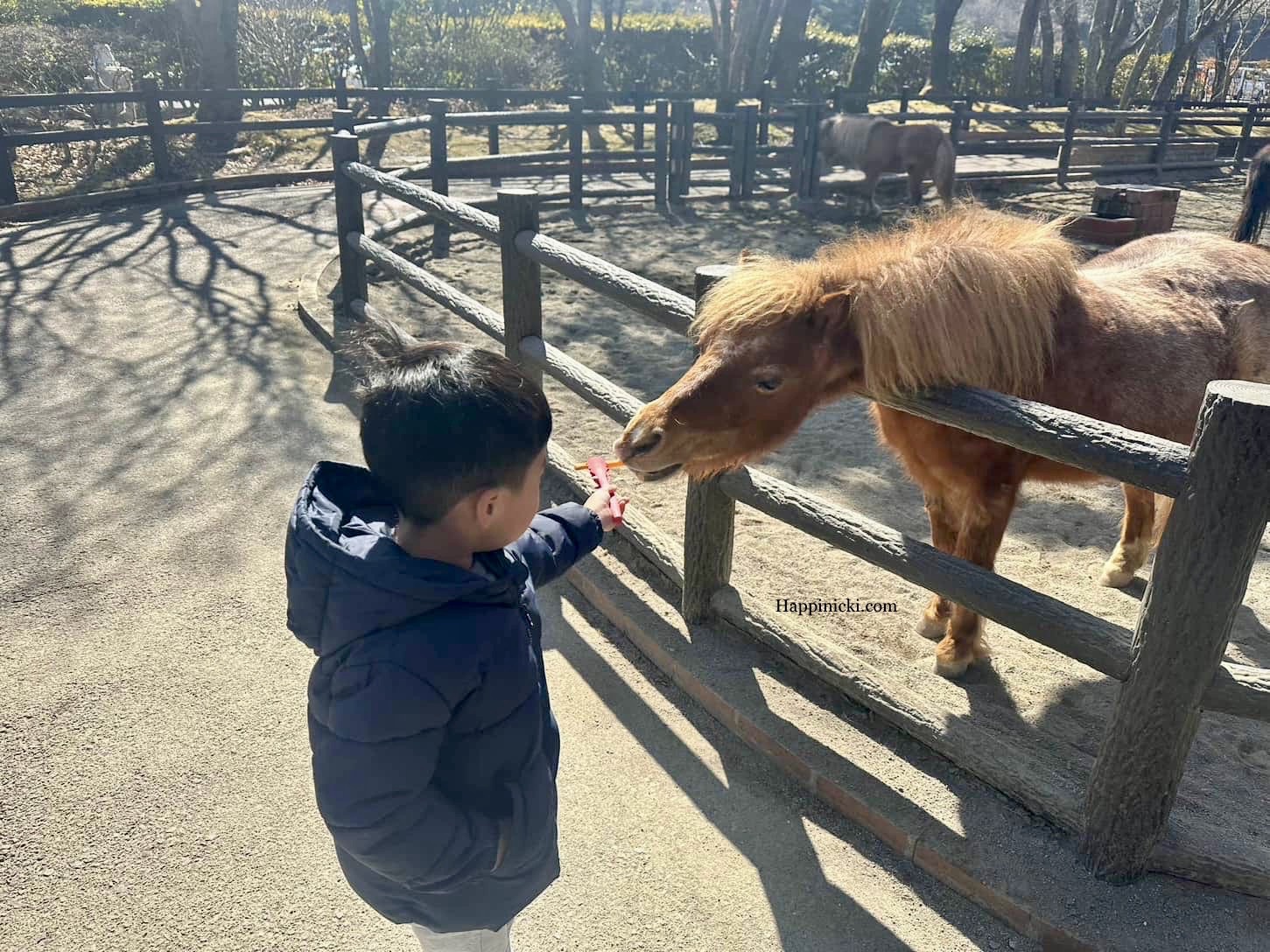 Kyushu Wildlife Park African Safari: A Quick Review With Tips