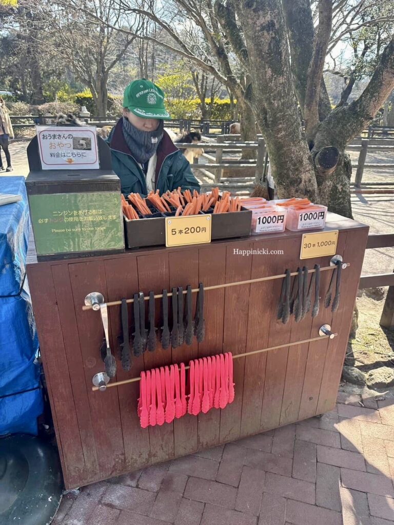 carrot sticks, kyushu wildlife safari