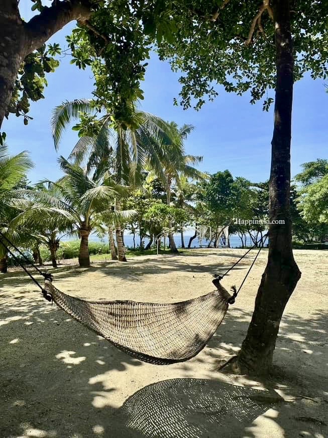 hammock, amorita hammock 