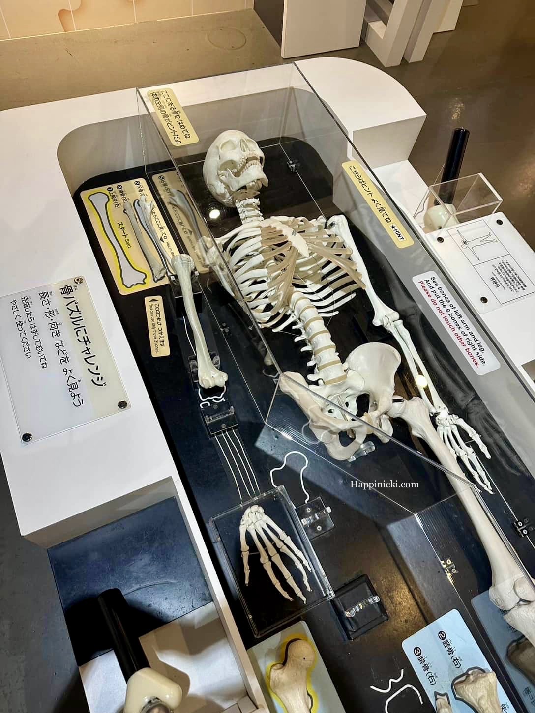 Nagoya City Science Museum – Giving You Reasons To Visit