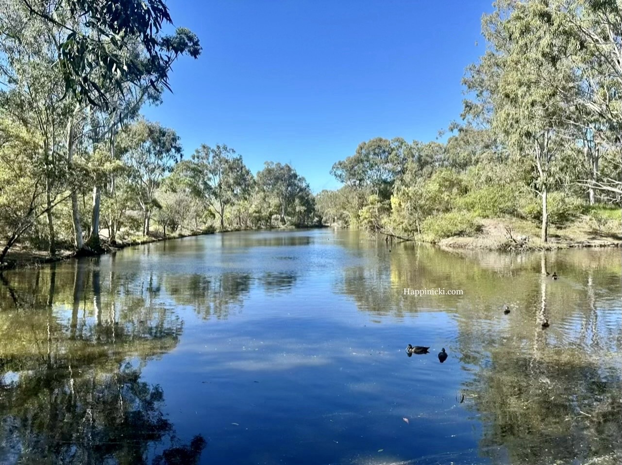 Do You Know Scarborough and Shorncliffe? Learn More About Them Here